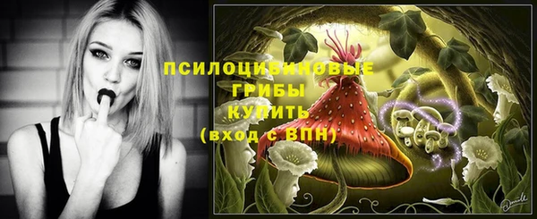 гашиш Бородино